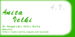 anita velki business card